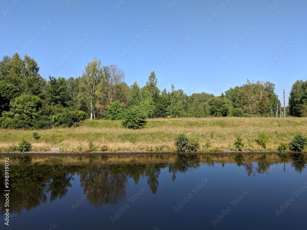 Fototapeta premium lake in the forest