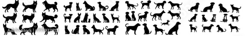 Set of dog breeds silhouettes. Puppy characters. Paws holding objects. Monochrome clean and neat isolated modern background.