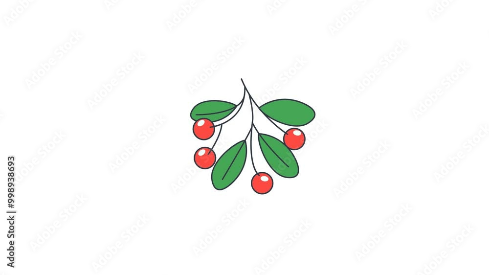 Animated of Mistletoe icon motion graphic animation. Christmas concept icon animation Animated of Mistletoe icon motion graphic animation. Christmas concept icon animation