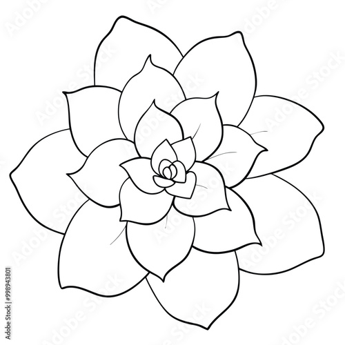 hand-drawn-gardenia-flower-outline art