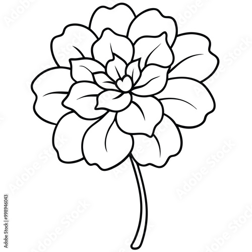 hand-drawn-geranium-flower-vector line art