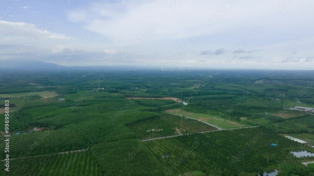 Expansive Drone View of Lush Green Landscapes in Rural Countryside During Late Afternoon Expansive Drone View of Lush Green Landscapes in Rural Countryside During Late Afternoon