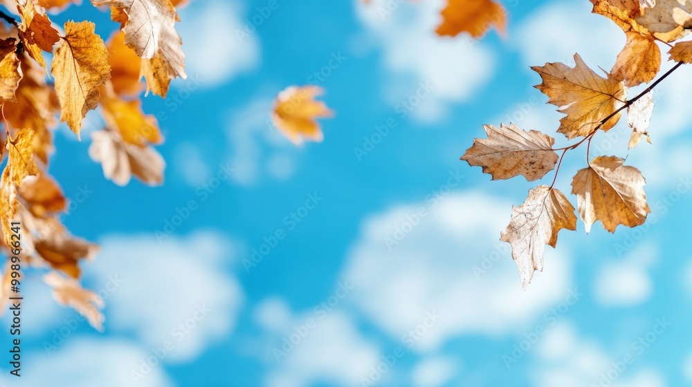 Golden autumn leaves dangle from branches against a clear blue sky, highlighting the vibrant beauty and tranquility of the fall season through their brilliant colors. Golden autumn leaves dangle from branches against a clear blue sky, highlighting the vibrant beauty and tranquility of the fall season through their brilliant colors.