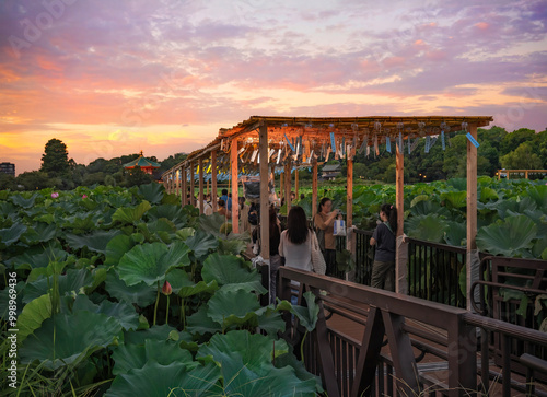 tokyo, ueno - august 12 2024: Lotus View Deck of Shinobazu Pond full of flowers during Summer Festival at sunset adorned with Japanese Fûrin wind chimes referring to the Wako and Hiroshi love story.