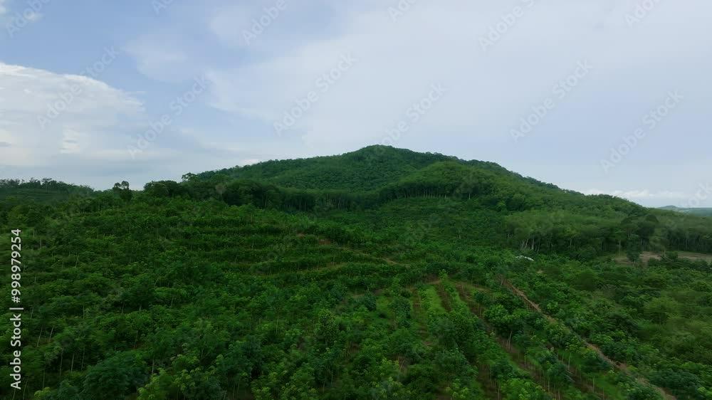 Exploring the Lush Green Hills of Southeast Asia on a Serene Afternoon Exploring the Lush Green Hills of Southeast Asia on a Serene Afternoon