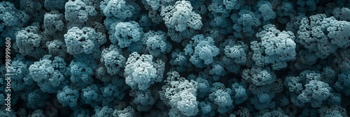 Aerial view of dense forest highlighting co2 absorption for carbon neutrality and net zero emissions