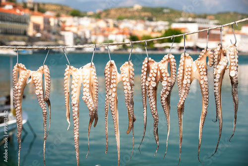 Octopuses drying in the hot sunshine. Gytheio, Peloponnese, Greece