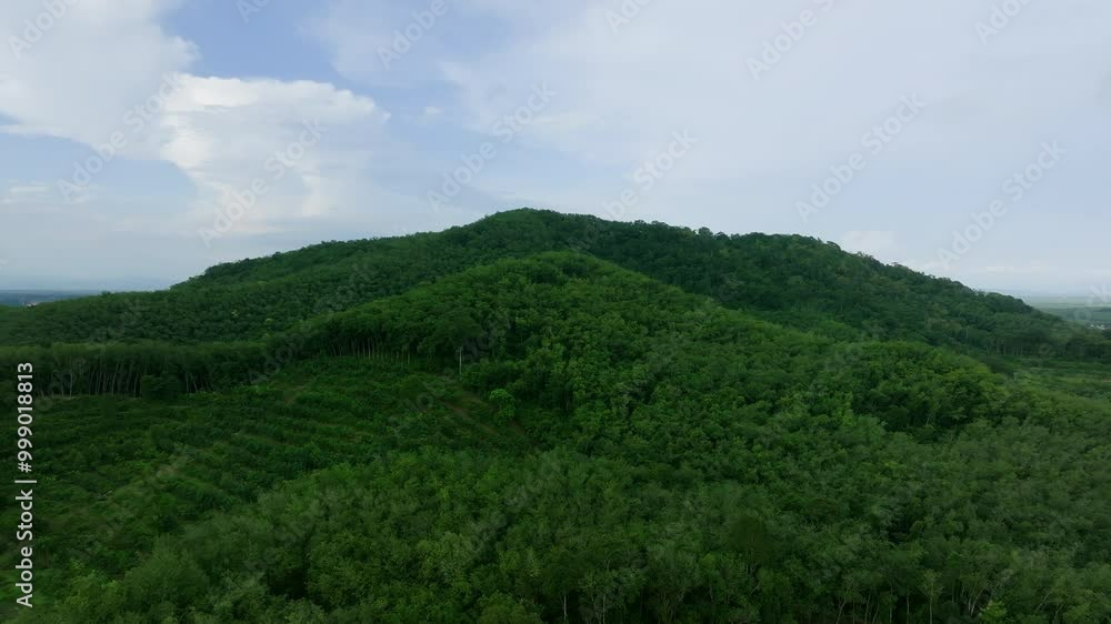 Explore the Lush Green Hills of a Serene Forest in the Countryside on a Calm Summer Afternoon Explore the Lush Green Hills of a Serene Forest in the Countryside on a Calm Summer Afternoon
