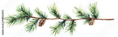 A detailed illustration of Cedars libani branch with cones