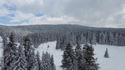 An aerial view of Uludağ Mountain on a snowy day, with trees blanketed in white snow under a blue, cloudy sky. The scene pans from above Uludağ, near Bursa city, Turkey.