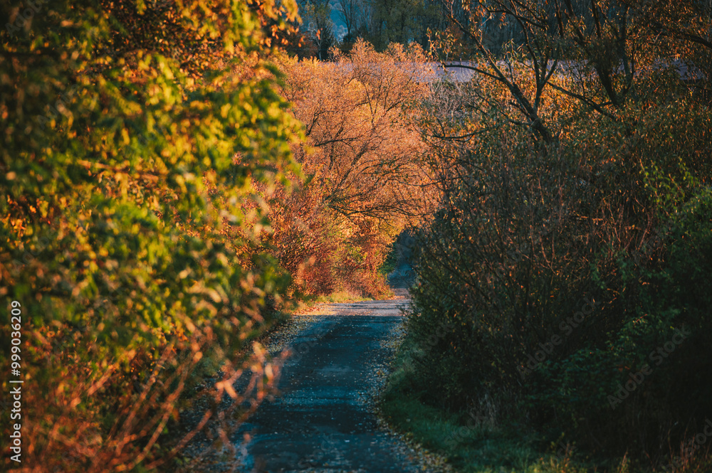 Beautiful autumn road through colorful rural landscape Beautiful autumn road through colorful rural landscape