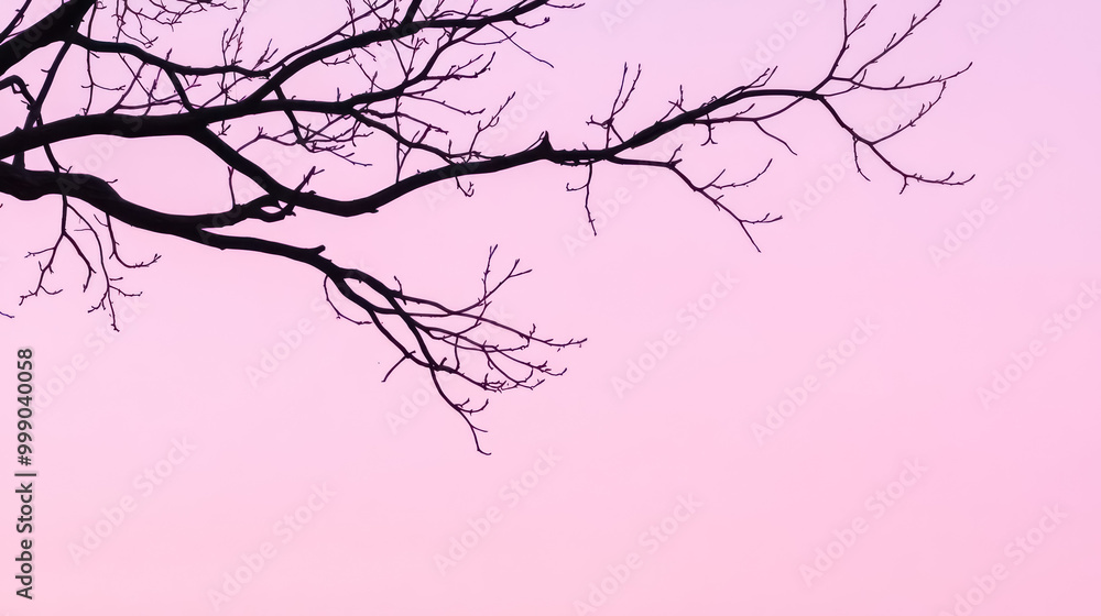 Fototapeta premium silhouette of bare tree branches against a soft pastel pink sky