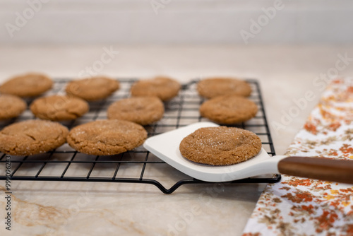 Soft focus closeup of a fresh baked gingersnap cookie photo