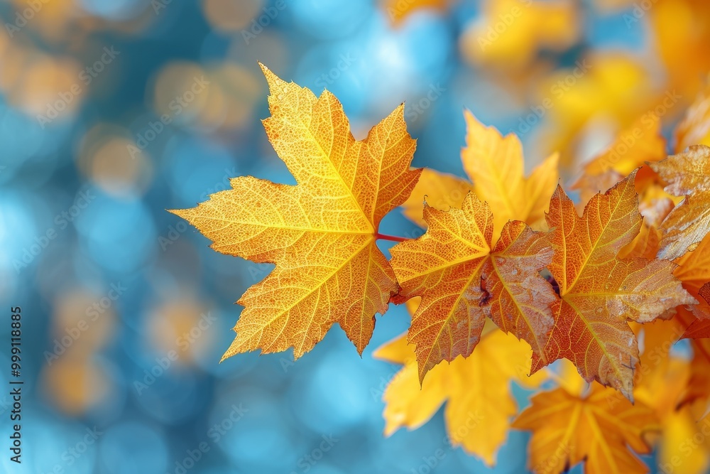 Vibrant autumn maple against the sky golden leaves and majestic tree canopy in nature s splendor Vibrant autumn maple against the sky golden leaves and majestic tree canopy in nature s splendor