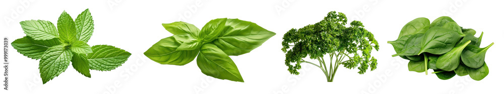 green herb png cut out element set green herb png cut out element set