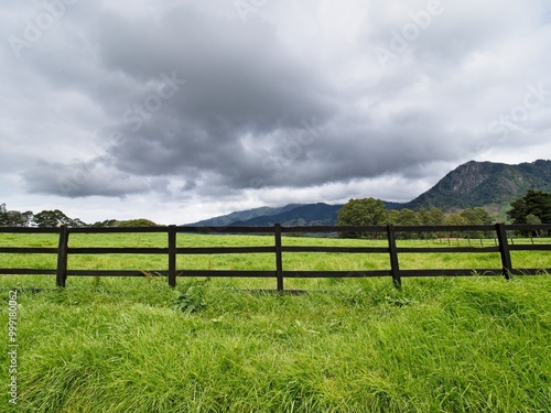 Mountains with a fence and pasture in the foreground