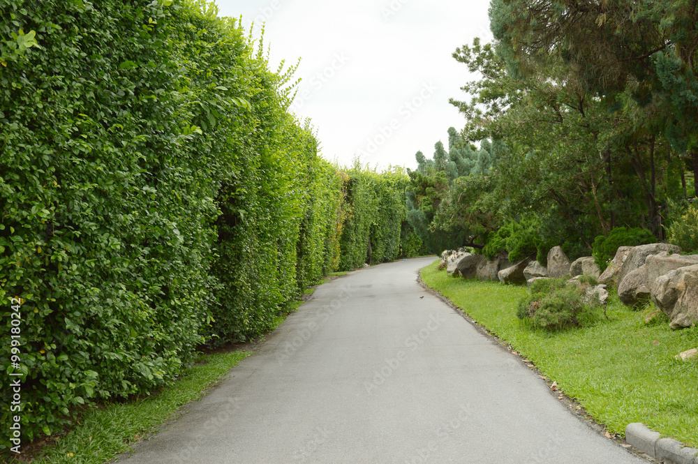 road in nature garden