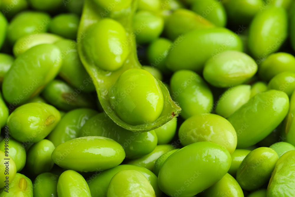 Fresh edamame pod on soybeans, closeup view Fresh edamame pod on soybeans, closeup view