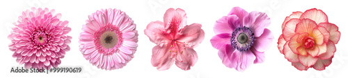 Pink flower png cut out element set