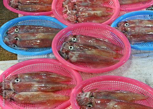 Jukdo Market, Pohang-si, Gyeongsangbuk-do, South Korea - July 25, 2020: Young raw squids on plastic tray at a fish market for sale photo