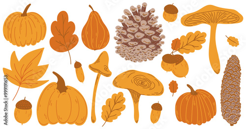 Autumn big hand drawing set. Flat doodle childish orange fall elements collection: oak, maple leaf, mushroom, acorn, rowan, pumpkin, pine cone. Simple aesthetic kids drawn isolated vector illustration
