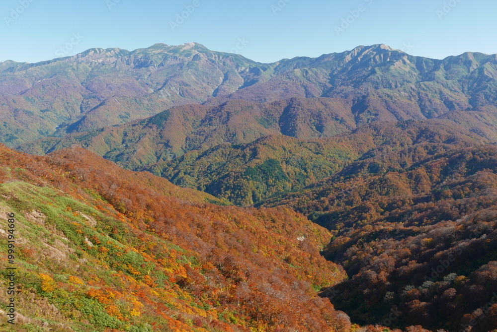 谷の紅葉と白山 谷の紅葉と白山
