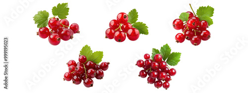 Red currant on white background photo