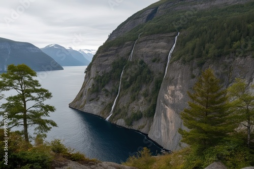 Cliffside View of Diverse Trees with Scenic Fjord Landscape Overlook photo