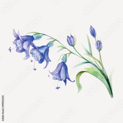 Delicate watercolor bluebell flowers