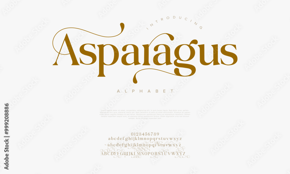 Asparagus typography beauty fashion elegant minimalist serif italic fonts decorative wedding vintage retro logos. Minimal luxury font alphabet logo. Vector illustration Asparagus typography beauty fashion elegant minimalist serif italic fonts decorative wedding vintage retro logos. Minimal luxury font alphabet logo. Vector illustration