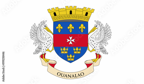 Saint Barthelemy official flag vector with standard size and proportion. National flag emblem with accurate size and colors.