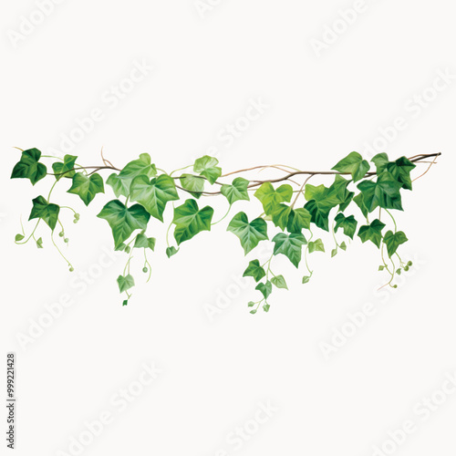 rawpixeloffice8_simple_illustration_of_hanging_vine_aesthetic_d_a5053165-6ddd-4431-bb49-68ba8434e561-p