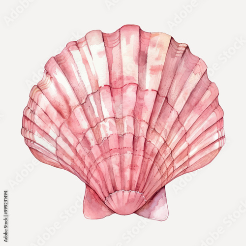 worldfaceslab_watercolor_illustration_of_a_pink_scallop_shell_c_a73cdd74-db33-4994-a2d6-0d20e99d2ee0-p