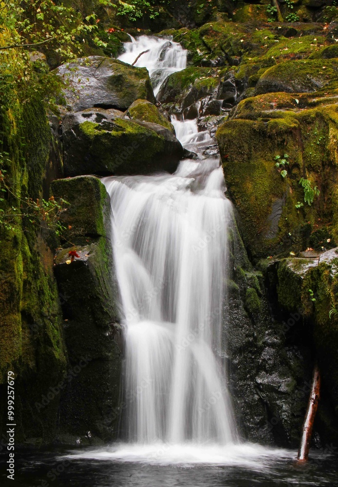 Obraz premium PNW Waterfall