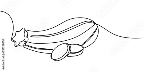 Zucchini, green marrow, courgette or squash vector illustration. One line drawing art illustration with organic zucchini, Zucchini or courgette. Icon with reflection on white background.