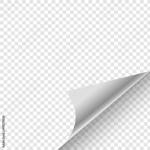 3d style empty transparent paper curled mockup design
