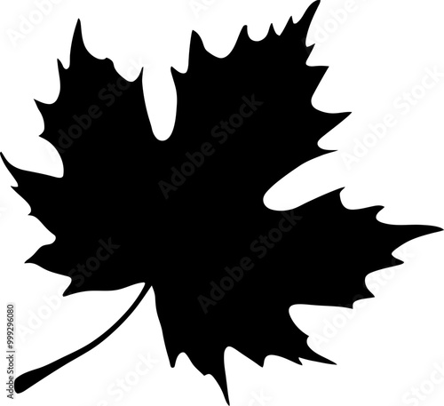 Simple maple leaf silhouette icon vector illustration isolated on white background photo