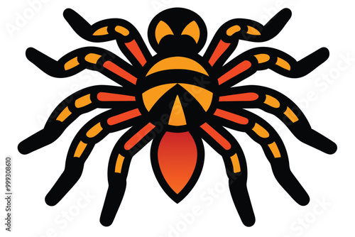 Solid color Mexican Fireleg Tarantula animal vector design