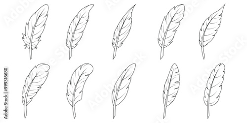 Set of Bird Feather. Feathers vector set in a flat style. Pen icon. Black quill feather silhouette. Plumelet collection isolated