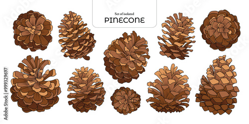 Set of isolated pinecones. Cute plants illustration in hand drawn style. Vivid red and green color tone on transparent background.