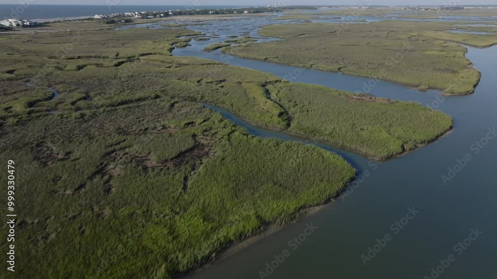 Salt Marshlands on the coast of South Carolina during sunrise Salt Marshlands on the coast of South Carolina during sunrise