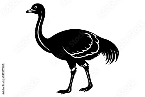 Emu silhouette vector, ostrich emu bird vector illustration 