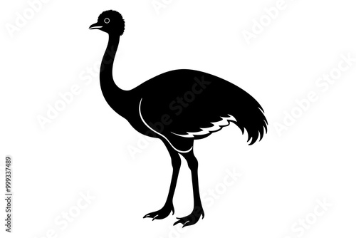 Emu silhouette vector, ostrich emu bird vector illustration 