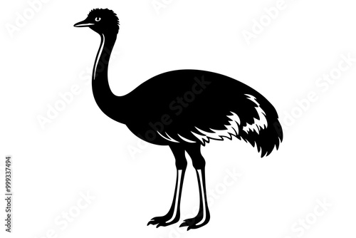 Emu silhouette vector, ostrich emu bird vector illustration 
