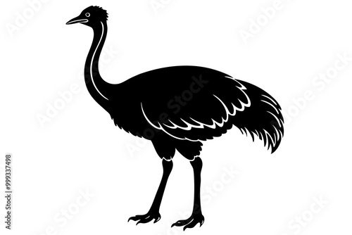 Emu silhouette vector, ostrich emu bird vector illustration 