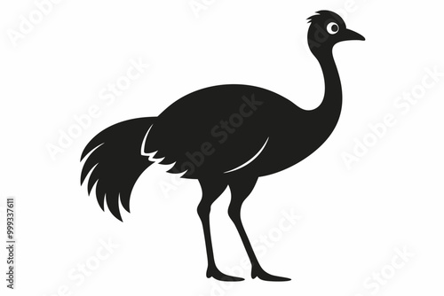 
Emu bird vector silhouette, ostrich emu bird vector illustration 