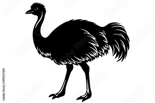 
Emu bird vector silhouette, ostrich emu bird vector illustration 
