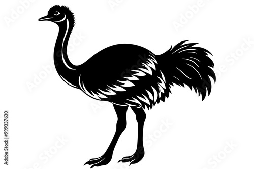 Emu silhouette vector, ostrich emu bird vector illustration 