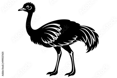 
Emu bird vector silhouette, ostrich emu bird vector illustration 