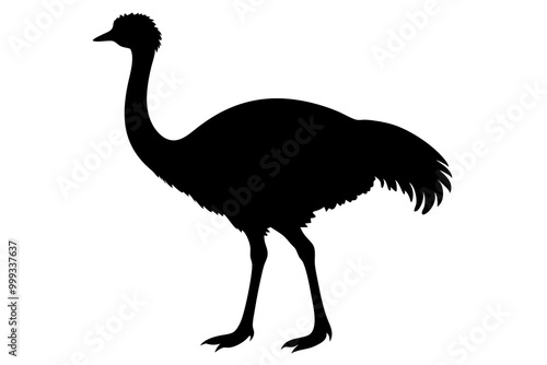 
Emu bird vector silhouette, ostrich emu bird vector illustration 